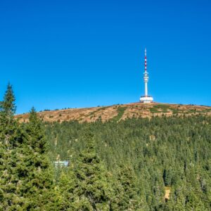 Jeseníky: Pobyt v Penzionu U Jirsáka s polopenzí a neomezeným wellness centrem (vířivka, sauna, bazének)