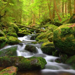 Šumava nedaleko Boubínského pralesa a přírodních parků v Penzionu Pod pralesem s polopenzí a dětským koutkem