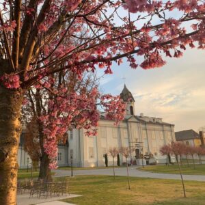 Noc na zámku s degustačním menu