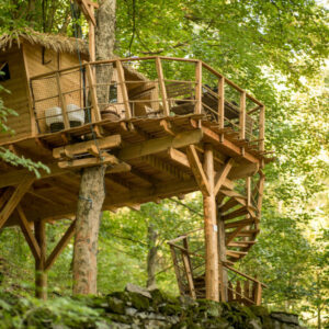 Pobyt v korunách stromů