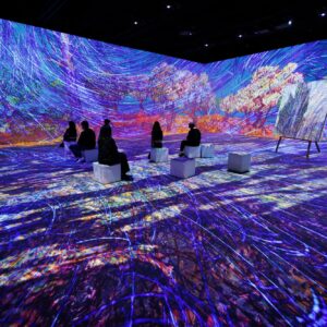 Vincent - Mezi šílenstvím a zázrakem: Vstupenky na výstavu Van Gogh Immersive v Mnichově + prémiové ubytování