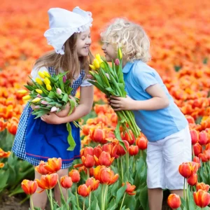 Jarní Amsterdam: 1 noc se snídaní a moře květin