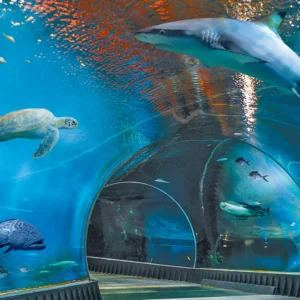 Výlet do Vratislavi: zoo, Afrikárium i centrum města