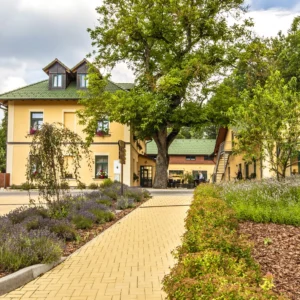 Pobyt na Vysočině v resortu či treehouse: polopenze i wellness