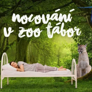 Rodinný pobyt v táborské zoo i péče o zvířata