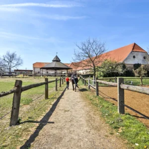 Farma u Znojma: strava i projížďka na koni či v kočáře