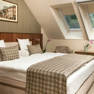 4* pobyt v srdci Győru: strava, wellness i vstup do zoo