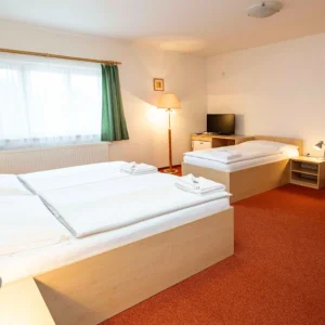 Pobyt v srdci Poděbrad se snídaněmi i wellness