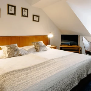 Pobyt v Třeboni s polopenzí, vínem a vodním světem