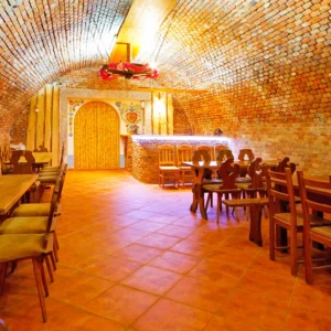 Penzion na jihu Moravy se stravou i degustací vín