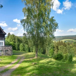 Pobyt v Orlických horách pro pár i rodinu