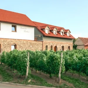 Pobyt na jihu Moravy: degustace vína a snídaně