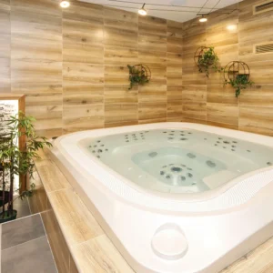 Pobyt nedaleko Konopiště s jídlem i wellness