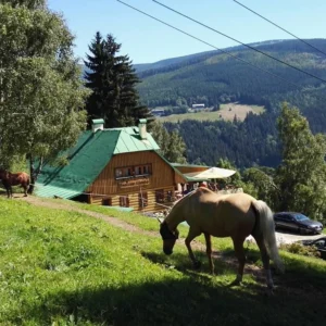 Za krásami Krkonoš: horský penzion se snídaní