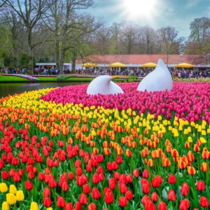 Holandsko na jaře: na otočku do parku Keukenhof