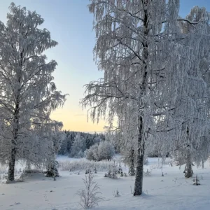 Dům ve Skandinávii uprostřed lesů a jezer, český majitel