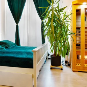 Dokonalý relax v Děčíně: apartmán s privátním wellness