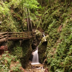 Výlet do Rakouska k divoké Ptačí soutěsce vč. dopravy