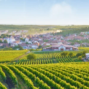 Sklípek na jižní Moravě: mezonetový apartmán, vířivka, gril