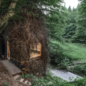 Romantický úkryt: obytná sauna schovaná v lese