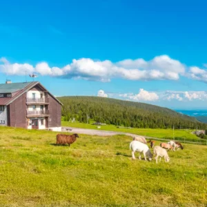 Dovolená přímo na hřebeni Krkonoš s polopenzí