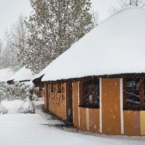Pobyt v Safari kempu vč. vstupu, snídaně a vířivky