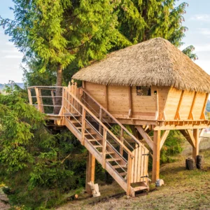 Domeček na stromě uprostřed přírody Nízkých Tater