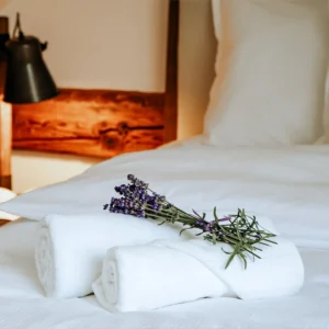 Pobyt v domě Hany Hegerové s degustací