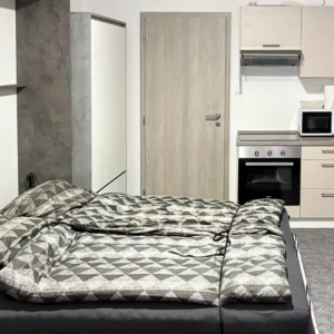 Krušné hory: pobyt v apartmánu, 20 min. od Klínovce