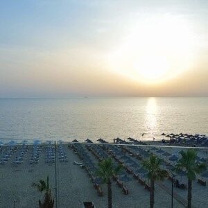 Epidamn White Sensation