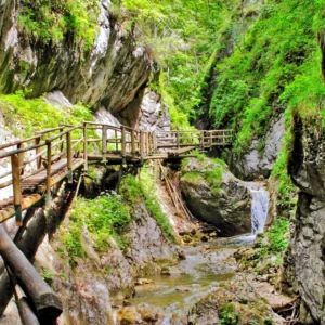 Výlet do kaňonu Medvědí soutěska v Rakousku