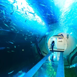 Autobusem do Vídně: Dům moře a zábavní park Prátr