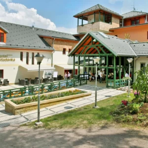 Wellness odpočinek v Orlických horách vč. jídla