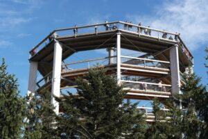 Lipno stezka korunami stromů