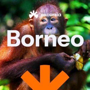 Borneo - orangutani, původní kmen Kelabit a sultanát Brunej - Malajsie - Poznávací zájezd | CK Excursia